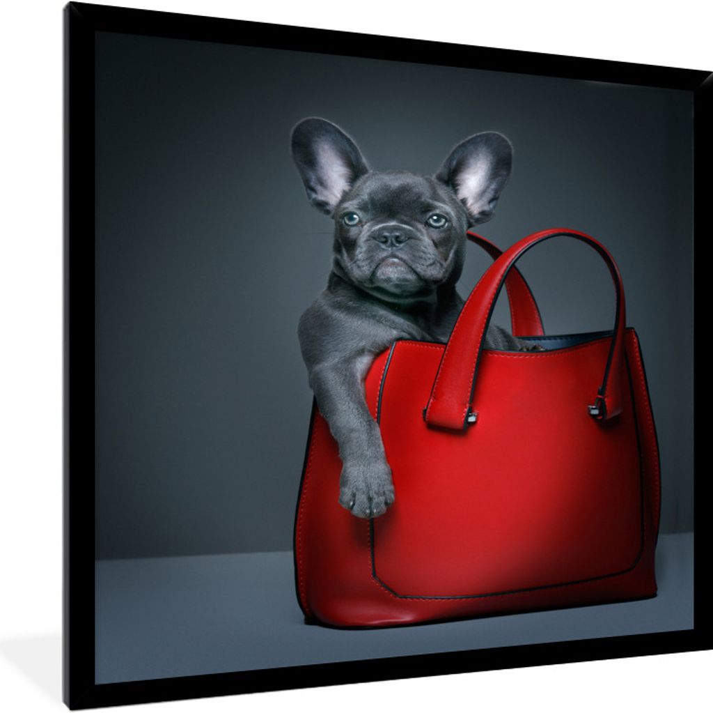 MuchoWow Gerahmtes Poster Hund - Lustig - Tasche - Kinder - Jungen - Mädchen - Kinder 60x80 cm - Poster mit Schwarzem Bilderrahmen Wandposter Ra...