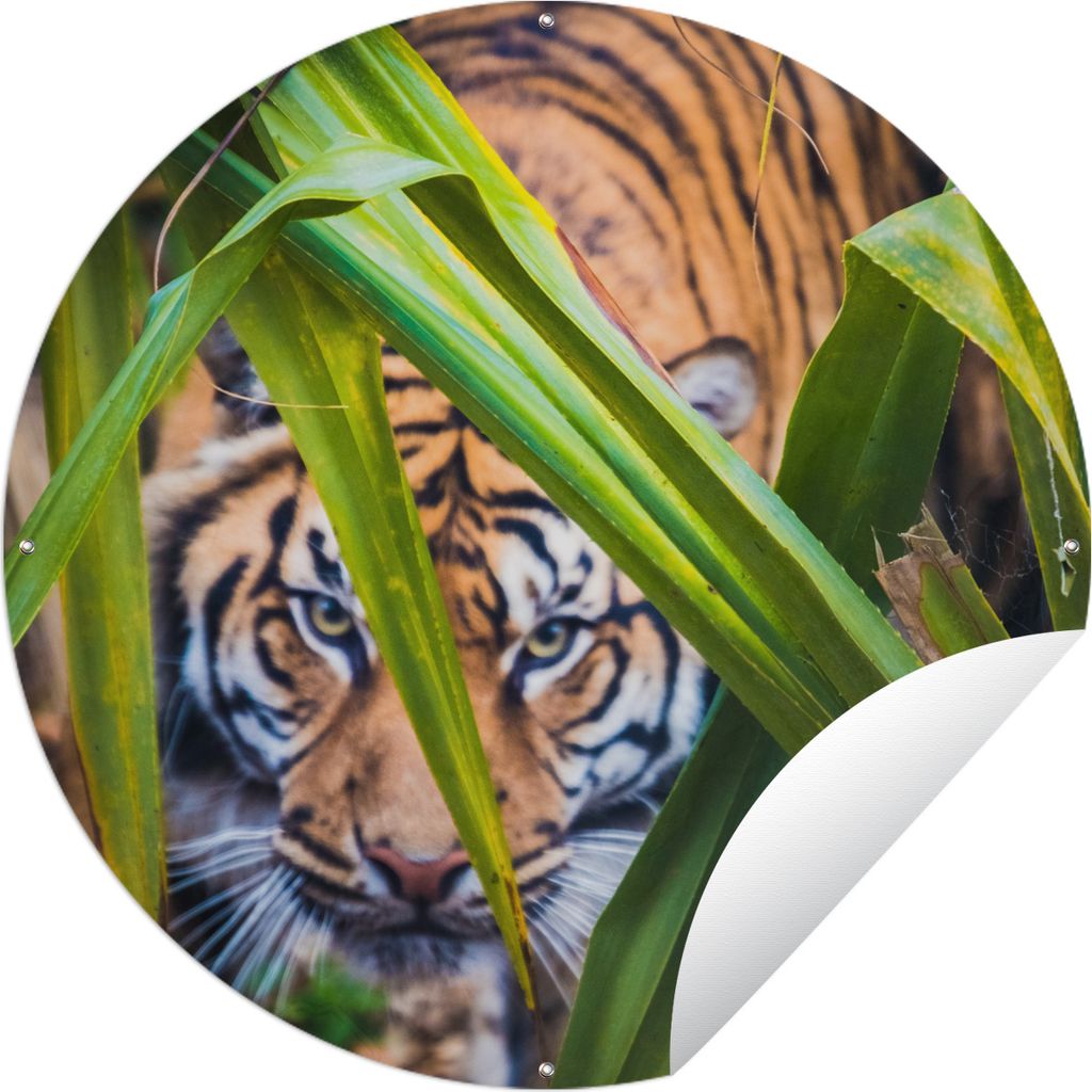 MuchoWow Gartenposter Outdoor-Poster Rund Versteckter Sumatra-Tiger im Laub Ø 120 cm Gartendeko Rundes Poster draußen
