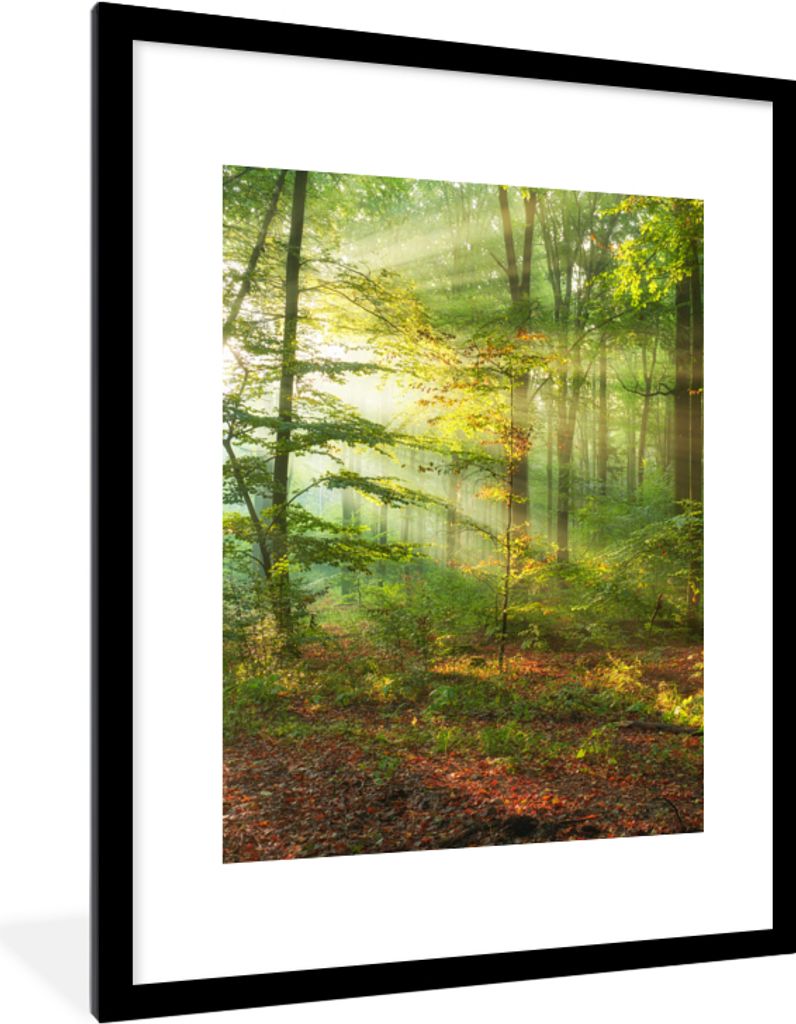 MuchoWow Gerahmtes Poster Sonne - Wald - Bäume - Natur - Herbst 60x80 cm - Poster mit Schwarzem Bilderrahmen Wandposter Rahmen Foto Bilder - Woh...