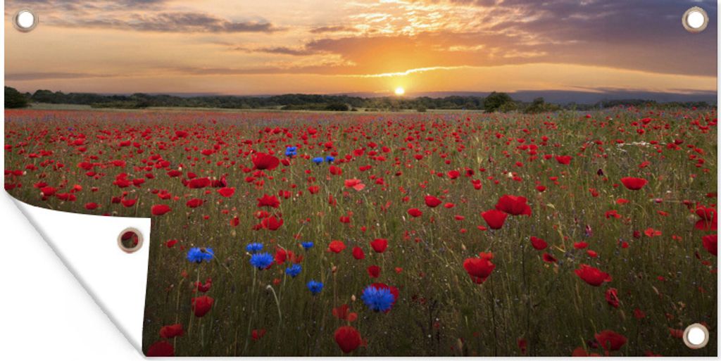 MuchoWow 60x30 cm Outdoor-Poster Gartendeko Sichtschutz Garten Poster für den Garten Blaue Mohnblumen zwischen roten Mohnblumen