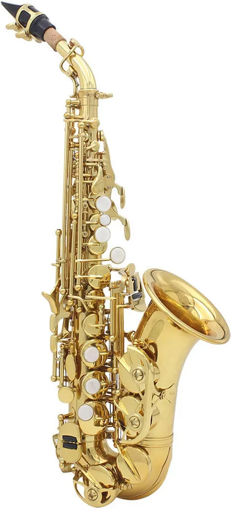 Saxophone soprano lourd 2,9 lbs en or avec étui rigide pour étudiants