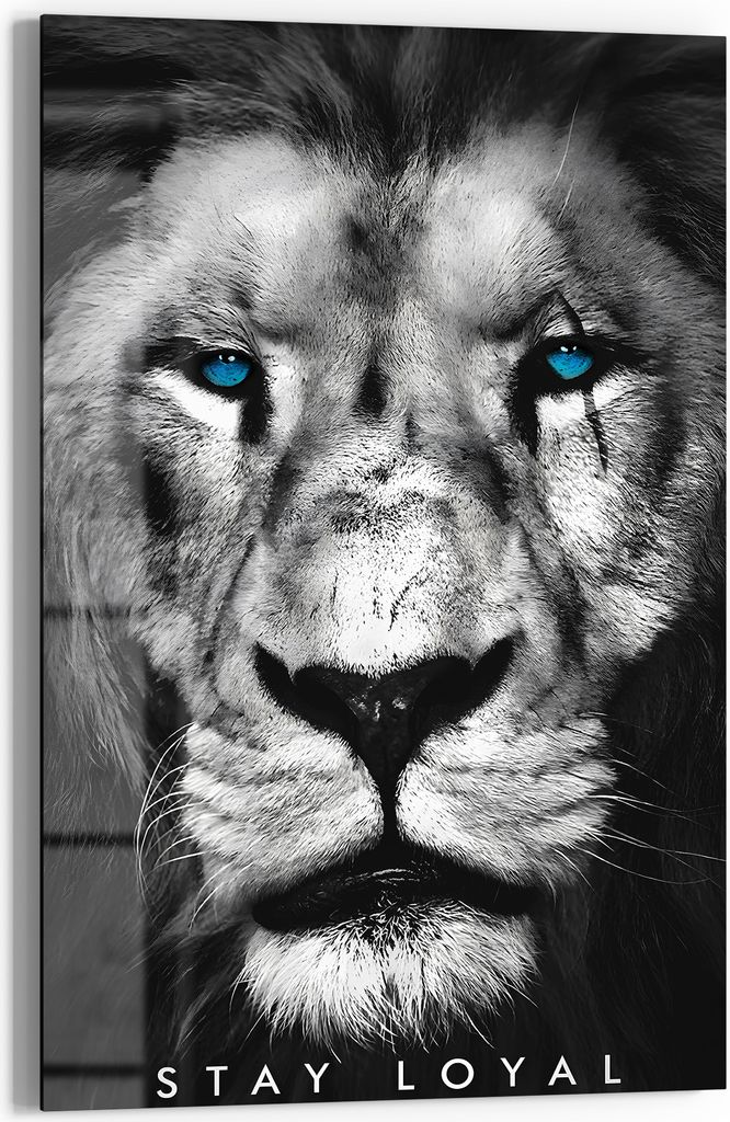 DEQOART Glasbild Echtglas 40x60 cm 'Loyaler Blick' Wandbild Produktbild 