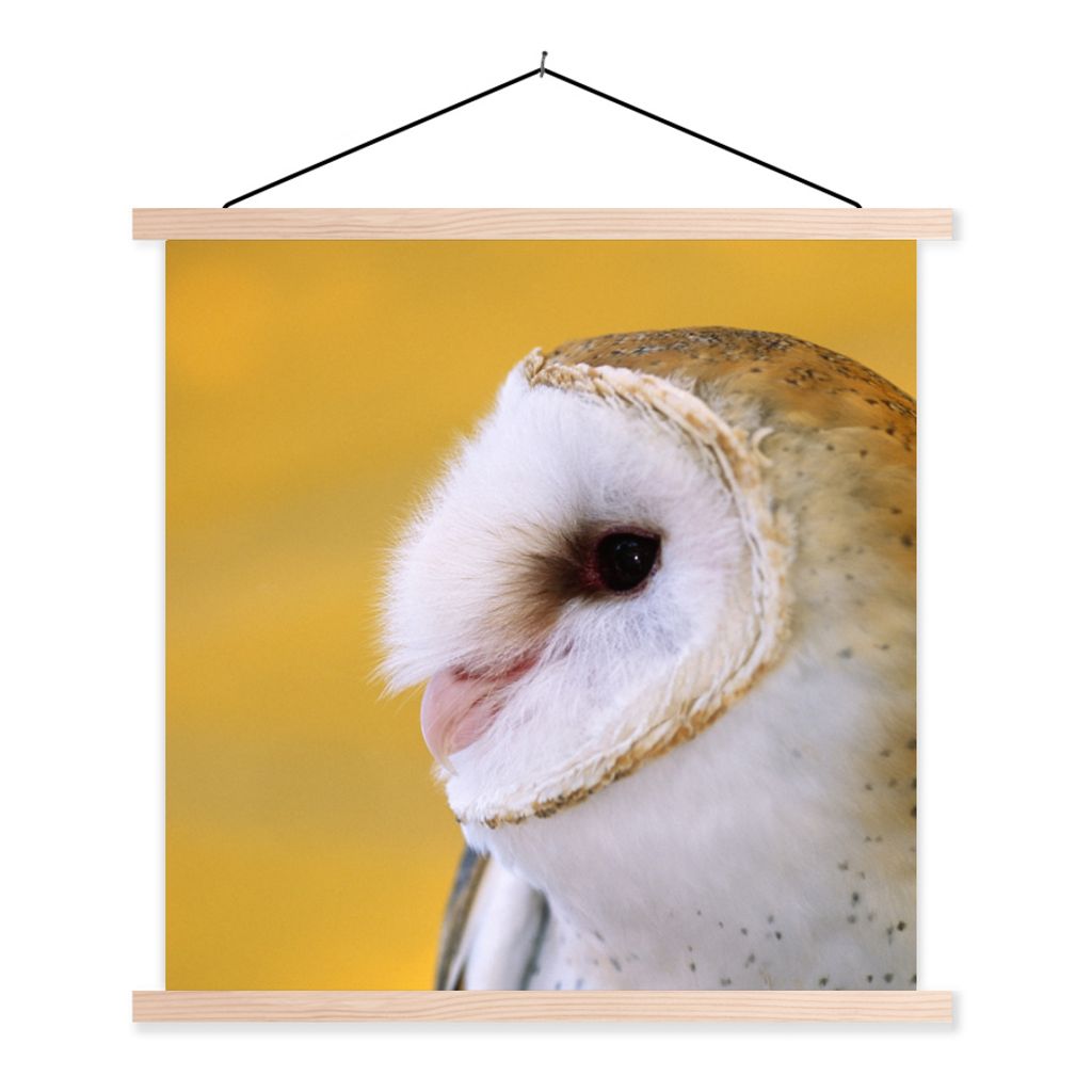 MuchoWow Textilposter Eule - Gelb - Tier 60x60 cm mit holzfarbenen Rahmen - Wanddekoration