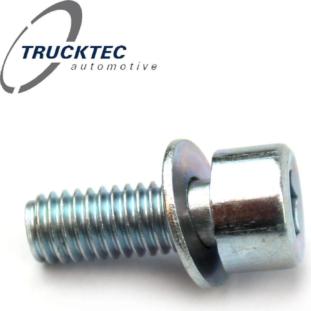 1x Schraube M6 x 1,0 mit Scheibe für Mercedes-Benz /8 Saloon G S SL Klasse