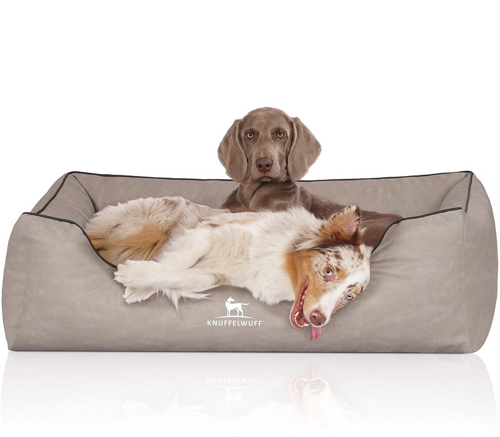 Knuffelwuff Orthopädisches Hundebett Rockland aus Kunstleder XXL 120 x 85cm Hellgrau