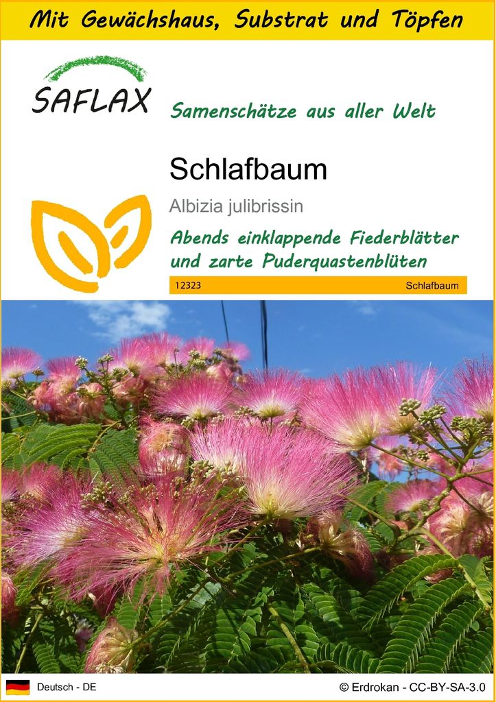 SAFLAX Anzucht Set - Schlafbaum - Albizia julibrissin - 50 Produktbild 
