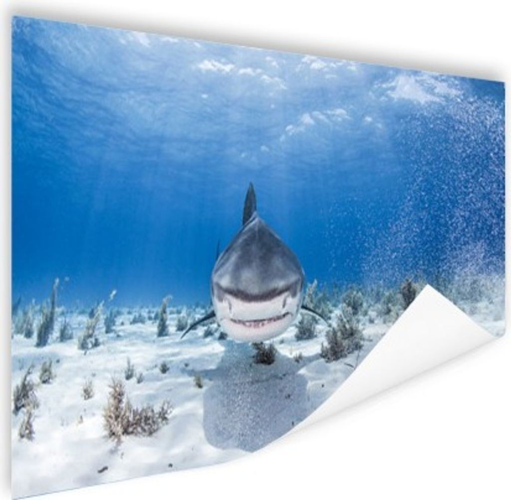 MuchoWow Poster Verschluckender Hai 150x75 cm - ohne Rahmen