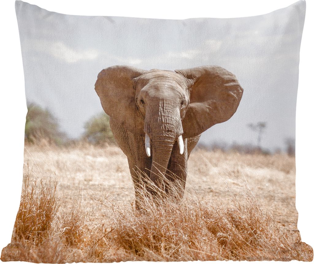 MuchoWow Zierkissen Sofakissen Wohnzimmer Dekokissen 50x50 cm Elefant - Natur - Tiere - Porträt - Komfort - Sofakissen