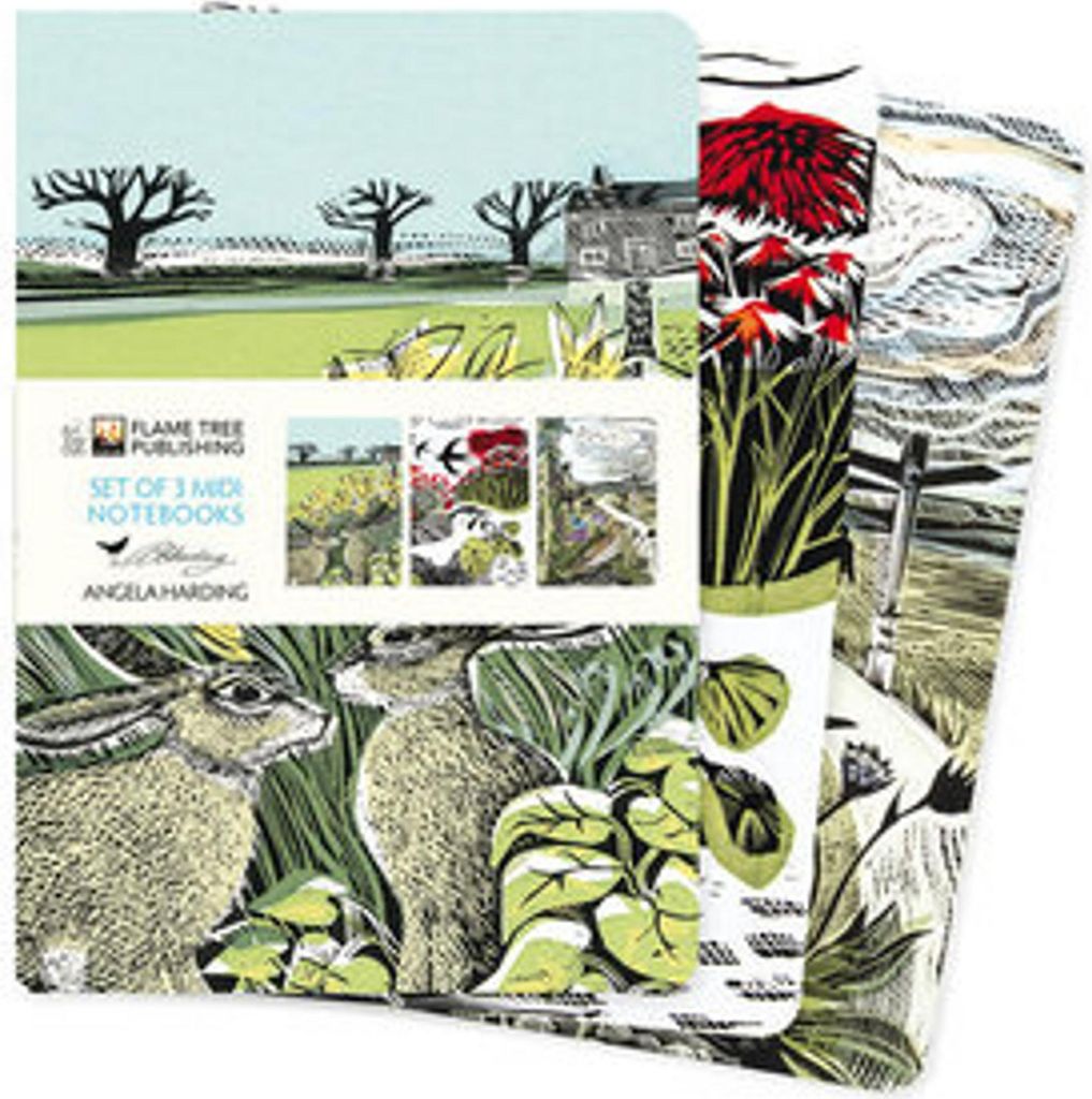 Angela Harding: Landscapes Set of 3 MIDI Notebooks