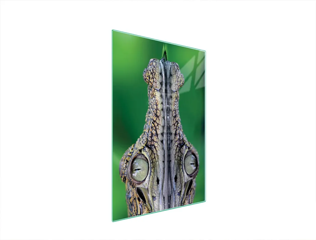 Tagliere Vetro Temperato 35x52 Coccodrillo: Standard Professionali