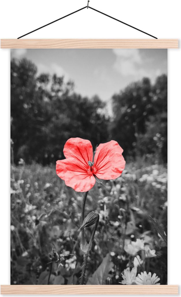 MuchoWow Textilposter Blumen - Rosa - Schwarz - Weiß 40x60 cm mit holzfarbenen Rahmen - Poster