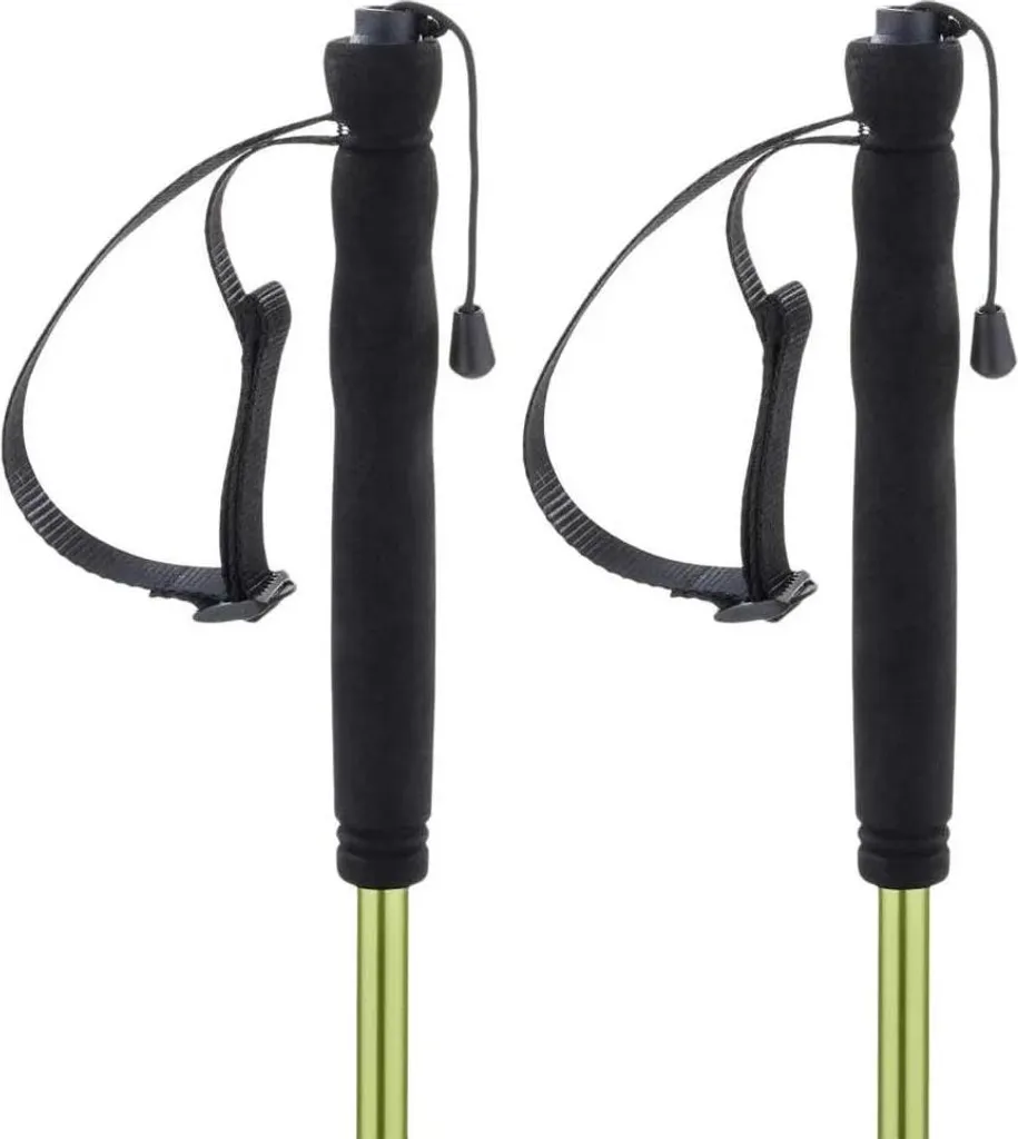 Ferrino Jet 110 cm bâton trekking en aluminium vert haute résistance
