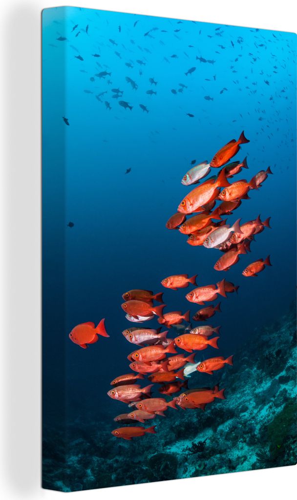 OneMillionCanvasses - Leinwandbilder - 90x140 cm, Fisch - Rot - Ozean, Wandbilder Kunstdruck Wanddekoration - Wandschmucke - Schlafzimmer