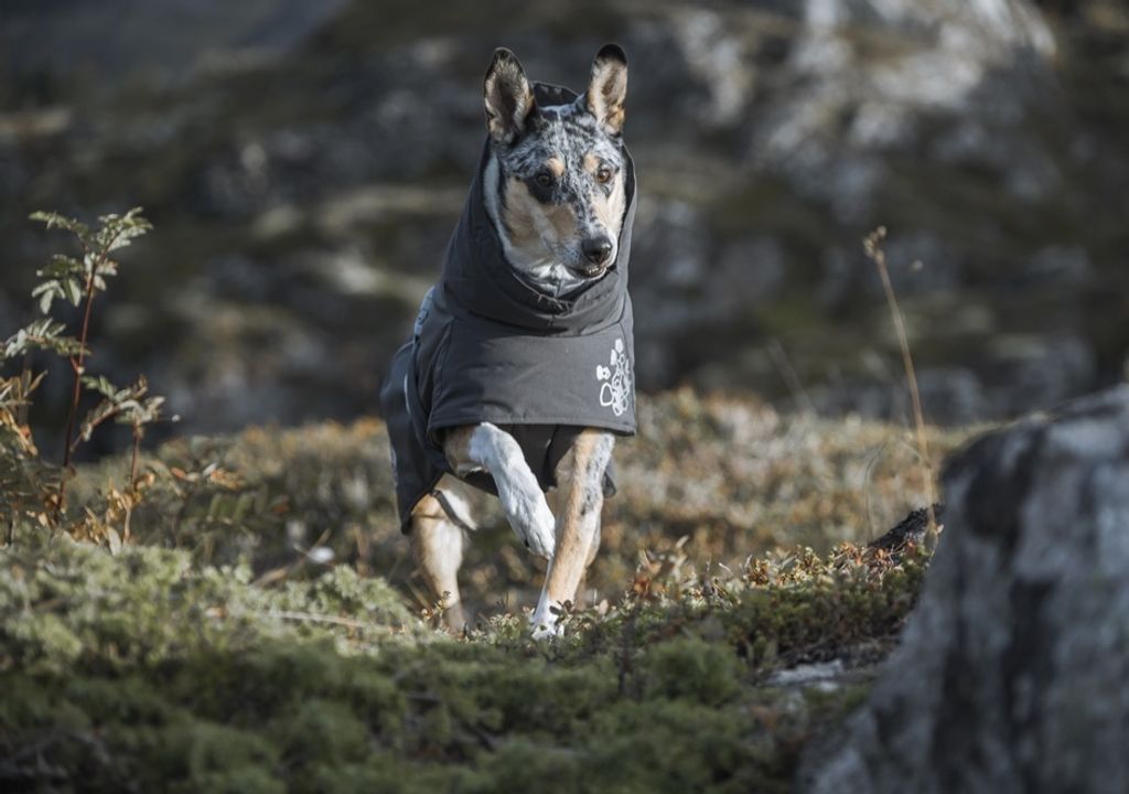 Hurtta Extrem Warmer, Hund, Jacke, Grau, Winter, 300 mm, 36 cm