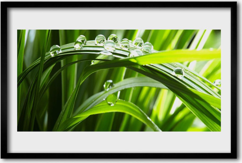 Bild 60x40 MDF-Rahmen Wandkunst Gras Wassertropfen Natur