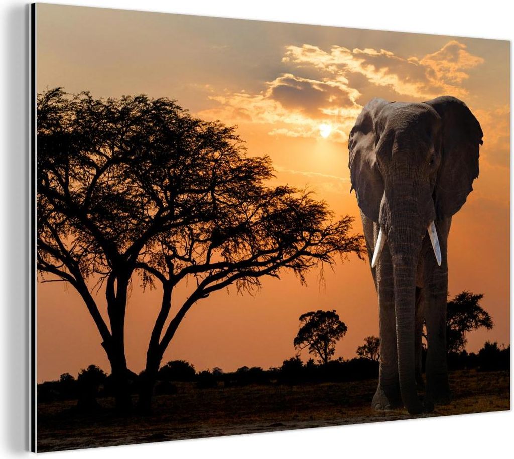MuchoWow Wanddekoration Metall Metallbild Wandkunst 60x40 cm Elefant - Baum - Afrika MuchoWow Aluminium Gemälde - Gemälder