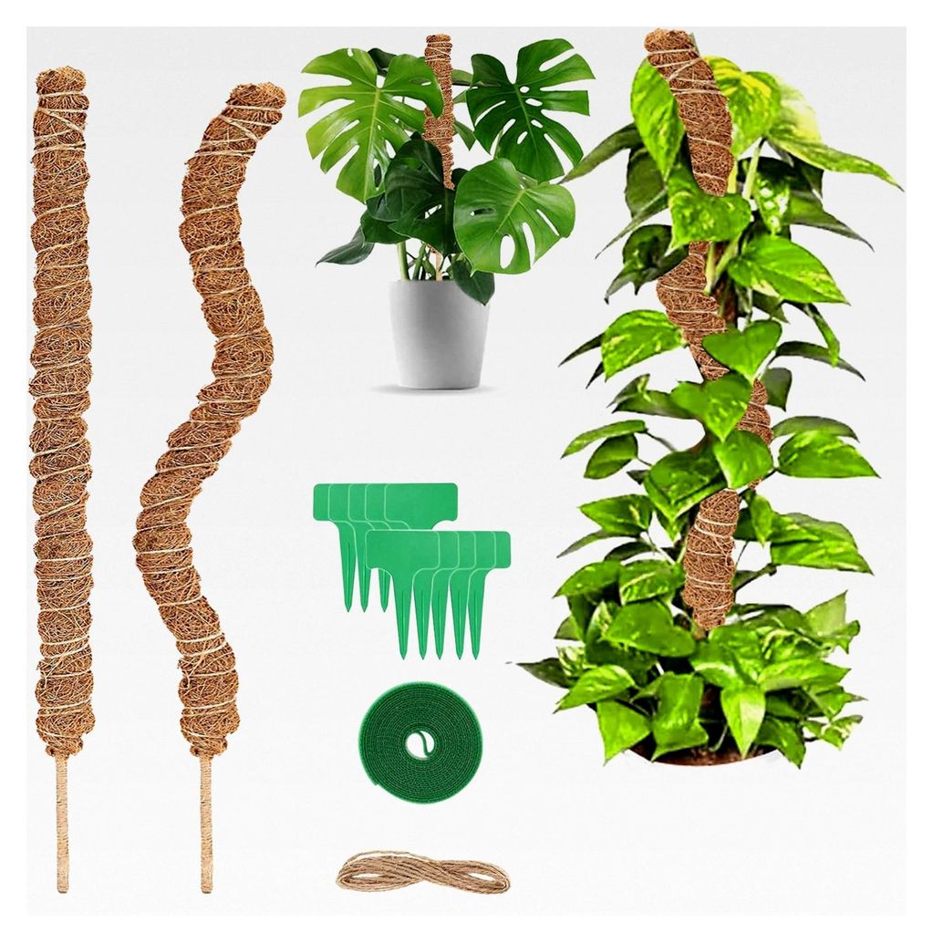 Rankhilfe für Monstera, 2 Stück 60cm Biegsame Moosstäbe für Pflanzen, Kokos Moosstab mit Zubehör, Set für Kletterpflanzen