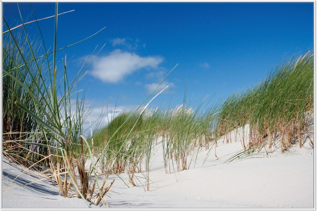 Wallario Wandbild Düne am Strand unter blauem Himmel, Produktbild 