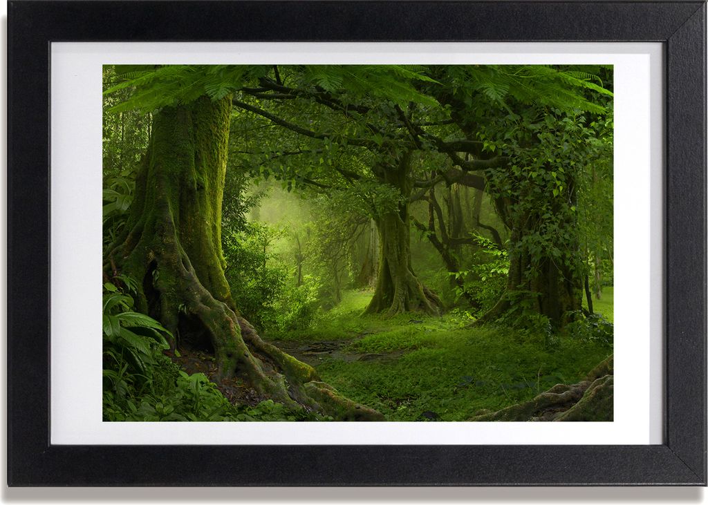 Bild 30x20 MDF-Rahmen, Wandkunst Tropischer Dschungel