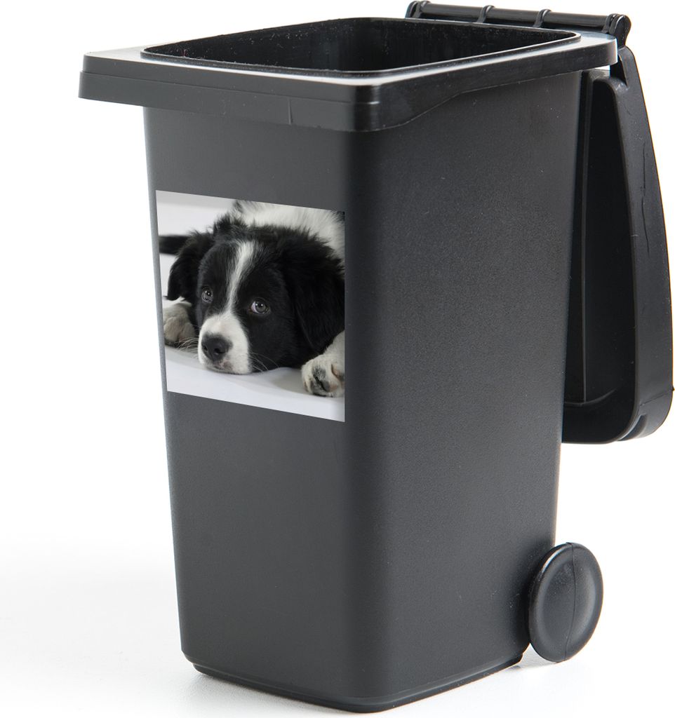 MuchoWow Mülltonnenaufkleber Ein Border Collie liegt auf dem Boden 40x40 cm - Abfall-Aufkleber - Container - für Abfallcontainer