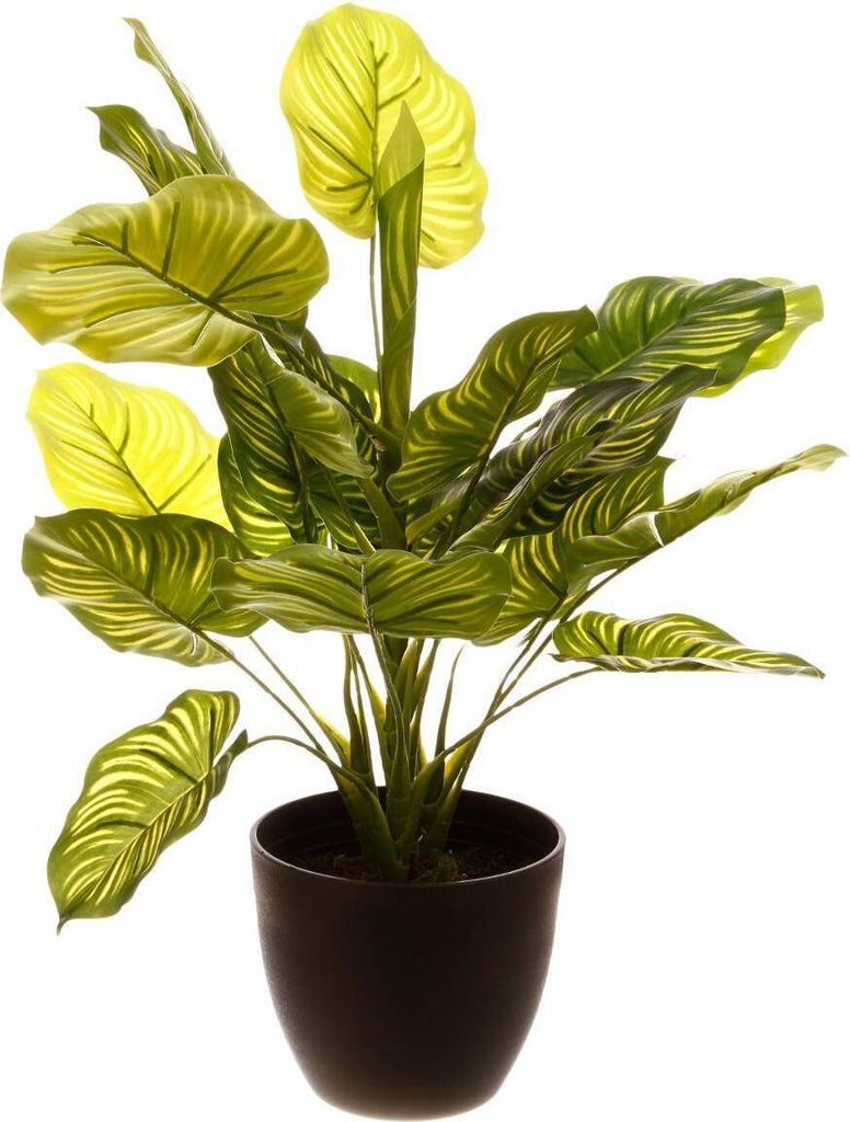Künstliche pflanze zementtopf h45cm - Atmosphera créateur d'intérieur