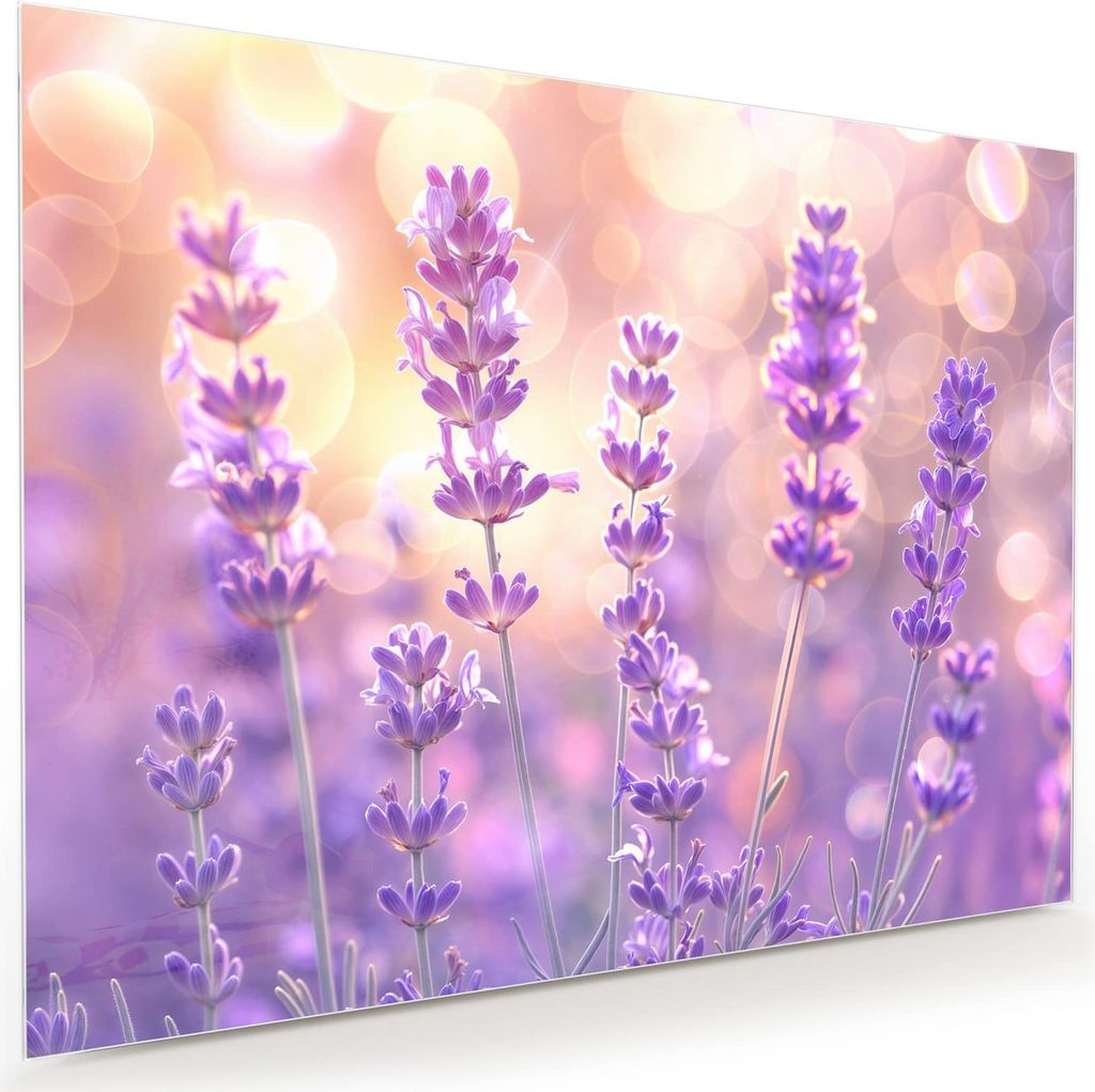 Glasbild 120x90cm in XXL für Wohnzimmer, Schlafzimmer Motiv Lavendelblütenfeld