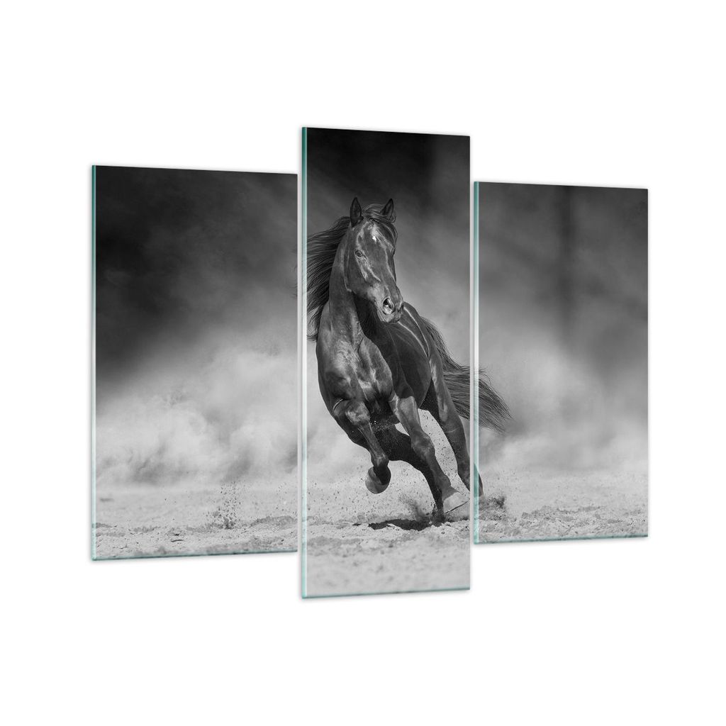 Bilder auf glas - 3 Teile - Pferd Galopp dynamisch - 130x100cm - Glasbilder - Wandbilder - Bilder - zum Aufhängen bereit - Wanddekoration aus Glas...