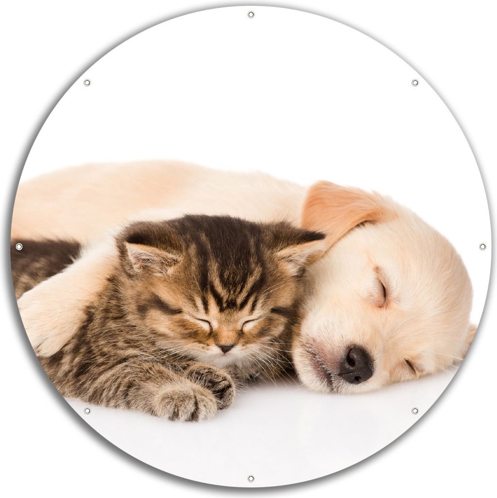 Wallario rundes Outdoor-Poster für Garten oder Balkon, Motiv Katze und Hund in Harmonie - Kuschelnde Tiere, 60 cm Durchmesser