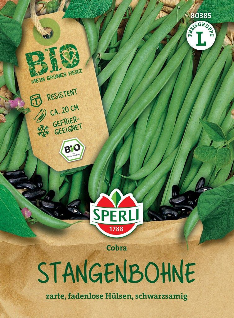Artikelbild 2 von 'Stangenbohne Cobra' aus der Kategorie Stangenbohnensamen