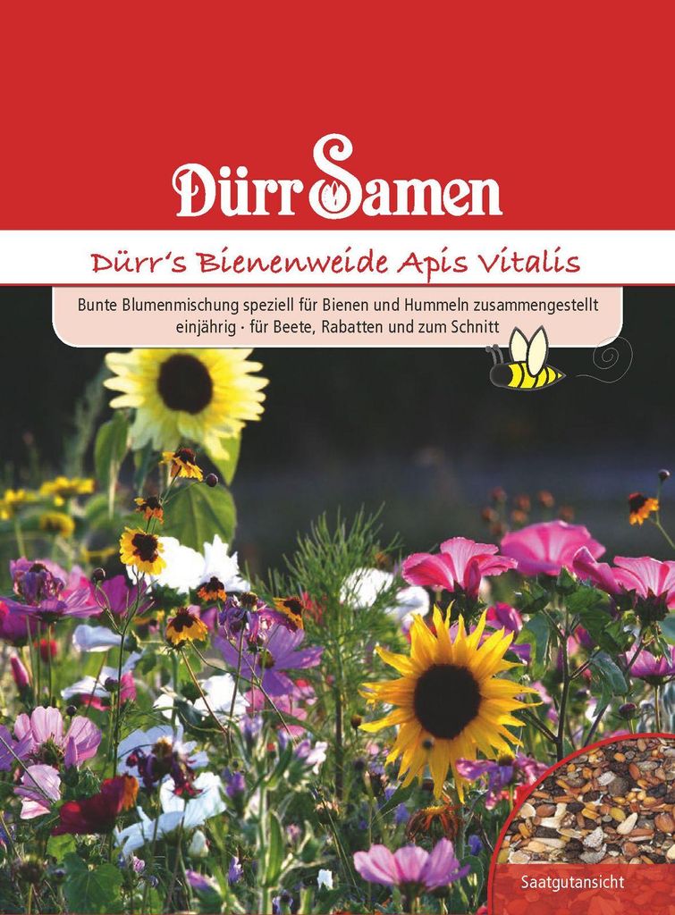 Bienen- und Hummelweide Apis Vitalis 6 m² | Blumensamen von Dürr Samen