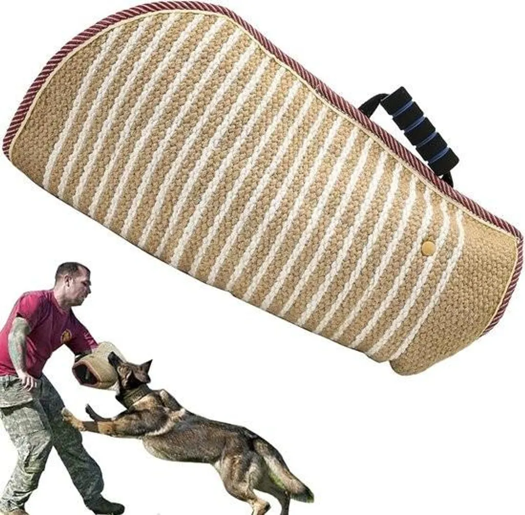 Manche de dressage Hilt-Guard robuste avec poignée ergonomique intégrée
