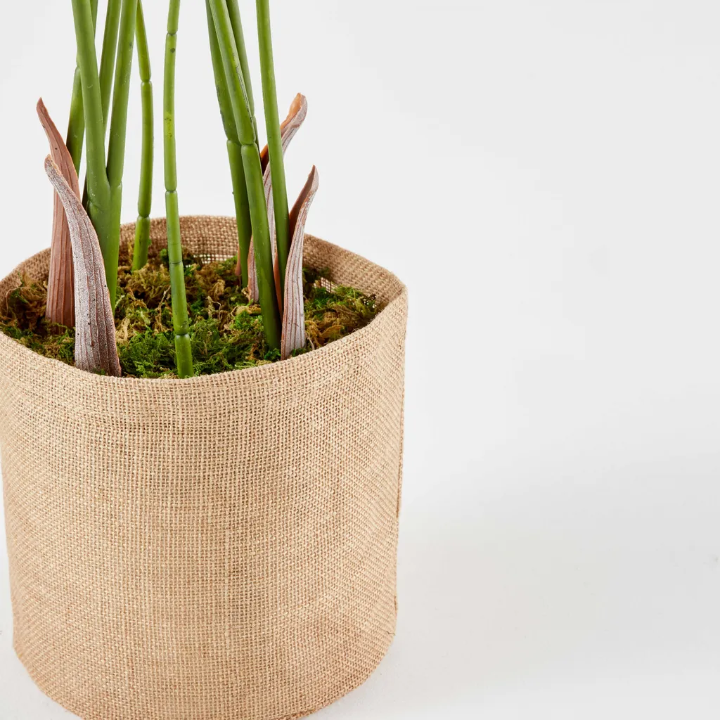 Oiseau du paradis artificiel 90 cm - Faux Strelitzia en pot pour salon - 3