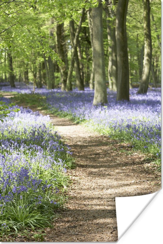 MuchoWow Poster Wald - Weg - Blumen - Lila - Grün - Natur 20x30 cm - Papierdruck