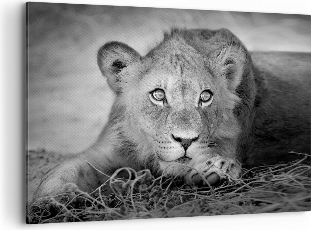Bild auf Leinwand - Leinwandbild - Einteilig - Löwe asiatisch Porträt - 100x70cm - Wand Bild - Wanddeko - Wandbilder - Leinwanddruck - Bilder - W...