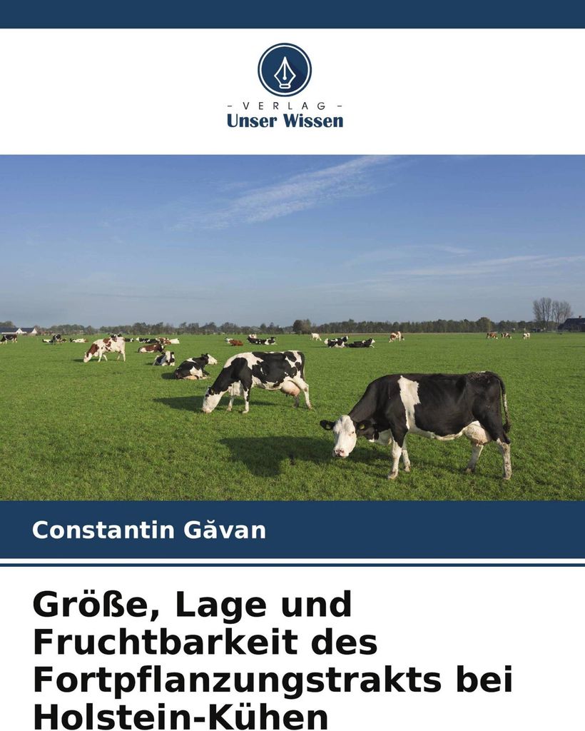 Größe, Lage und Fruchtbarkeit des Fortpflanzungstrakts bei Holstein-Kühen