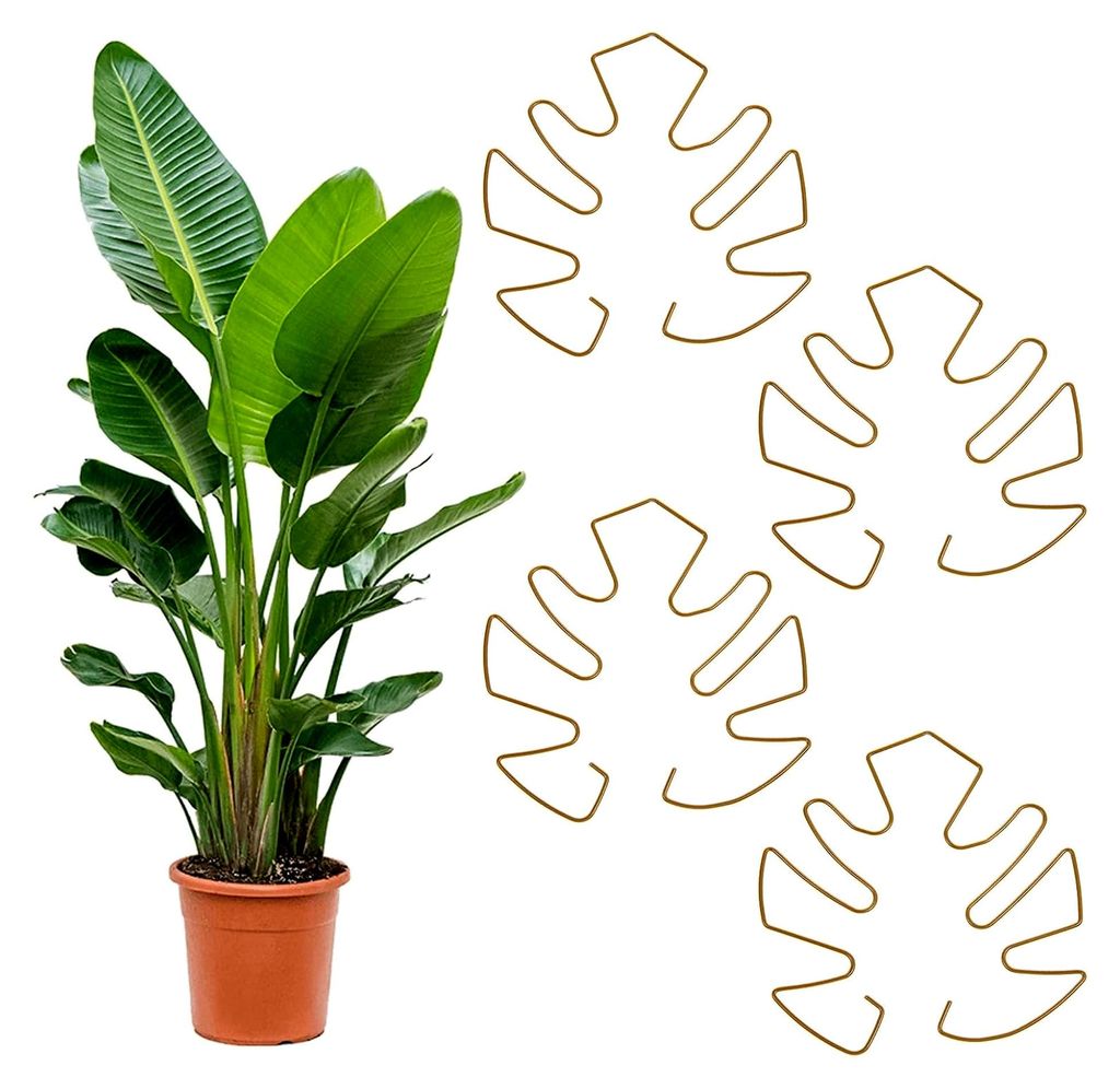 4 Stück Pflanzenstützen für Monstera-Blätter aus Metall