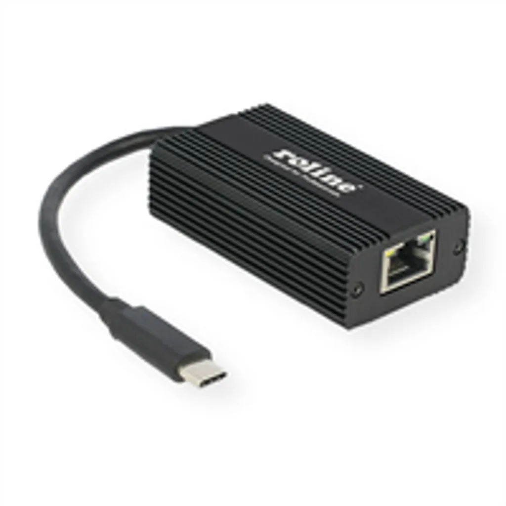 Adaptateur d'interface ROLINE 12.02.1103 pour extension informatique