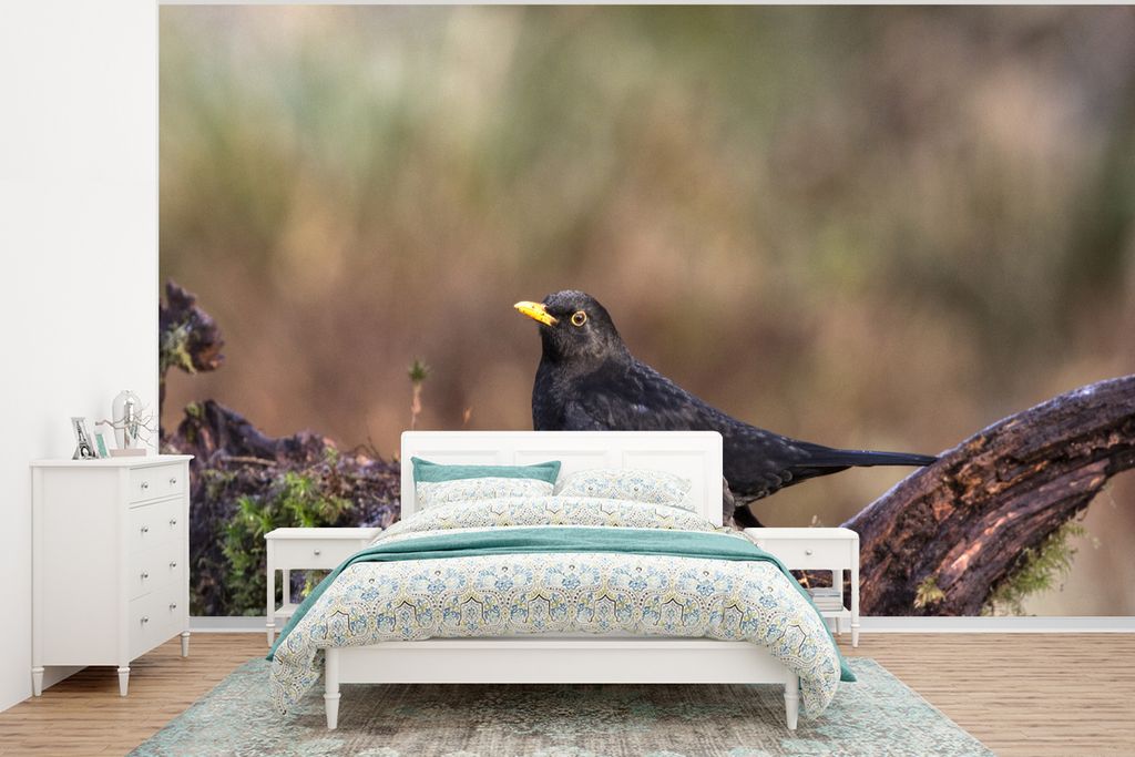 MuchoWow Fototapete für Wohnzimmer oder Schlafzimmer Wandtapete Vinyl Motivtapete Schwarze Amsel auf einem Baumstumpf sitzend - 375x280 cm - Sch...