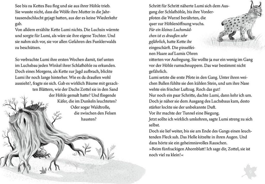 Funklerwald Image du produit 