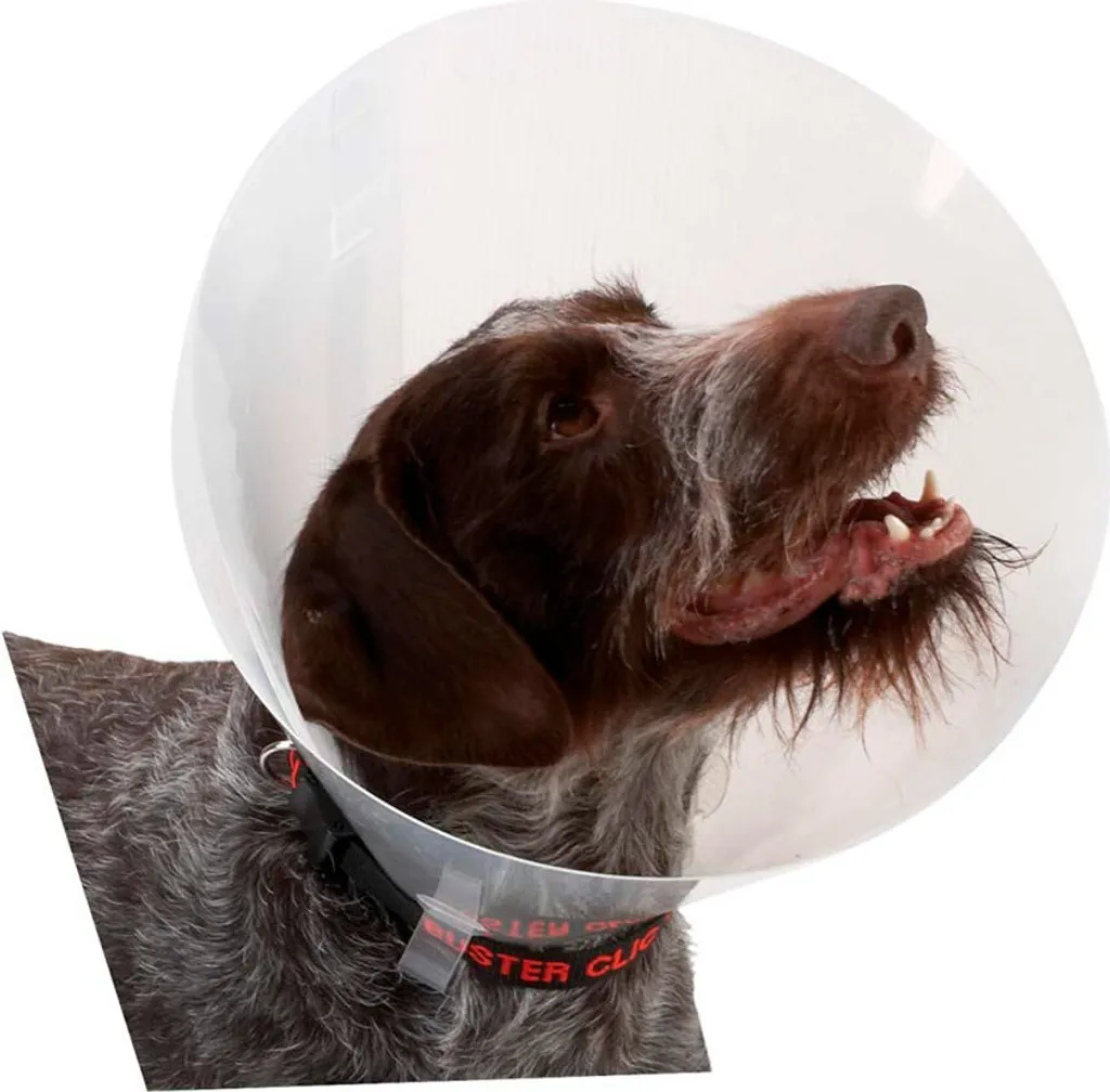 Kruuse K273395 Collare elisabettiano per cani 10 unità Taglia unica