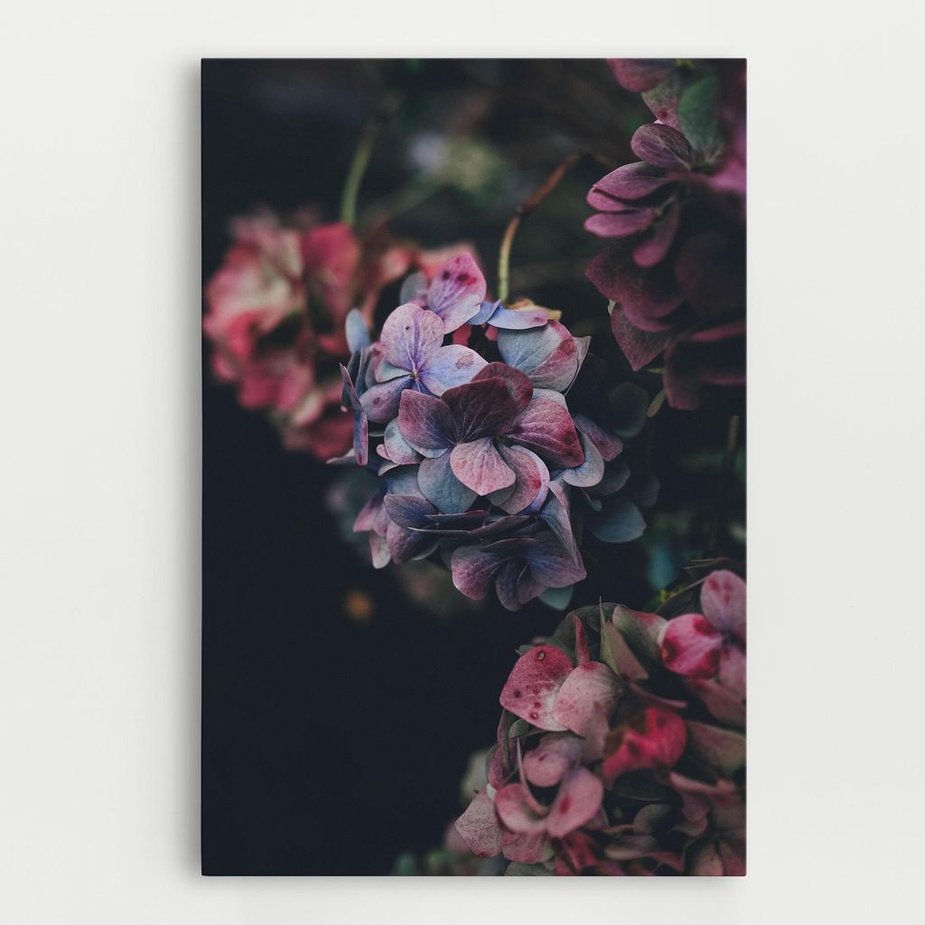 ARTHUB Leinwandbild 50x70 cm, Red Pink Flower | Wohnzimmerdekoration, Hängende Bilder, Wanddekoration, Heimdekoration, Blumen, Blumen in der Natur