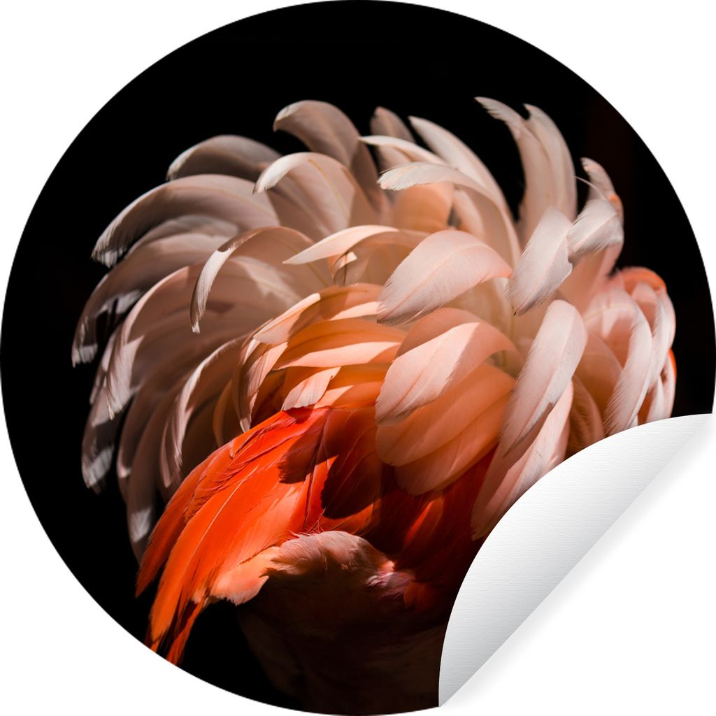 MuchoWow Runde Wandtattoo - Wandsticker Tapete Aufkleber Flamingo - Federn - Licht - Makro Ø 50 cm Selbstklebend und Repositionierbar - Wandaufk...