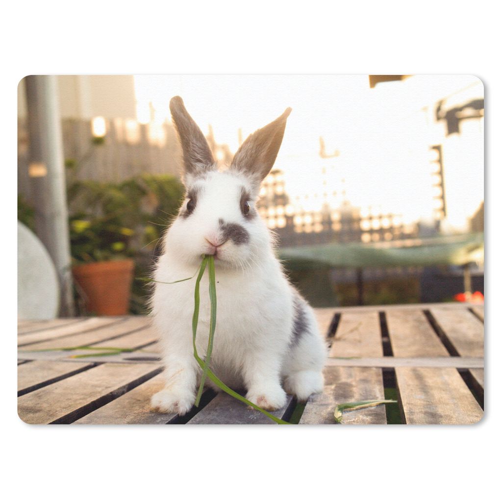 MuchoWow Mauspad Mousepad Kaninchen - Baby - Essen 40x30 cm - Mousepads - Maus Mat - Pad - Mausunterlage - Anti Rutsch