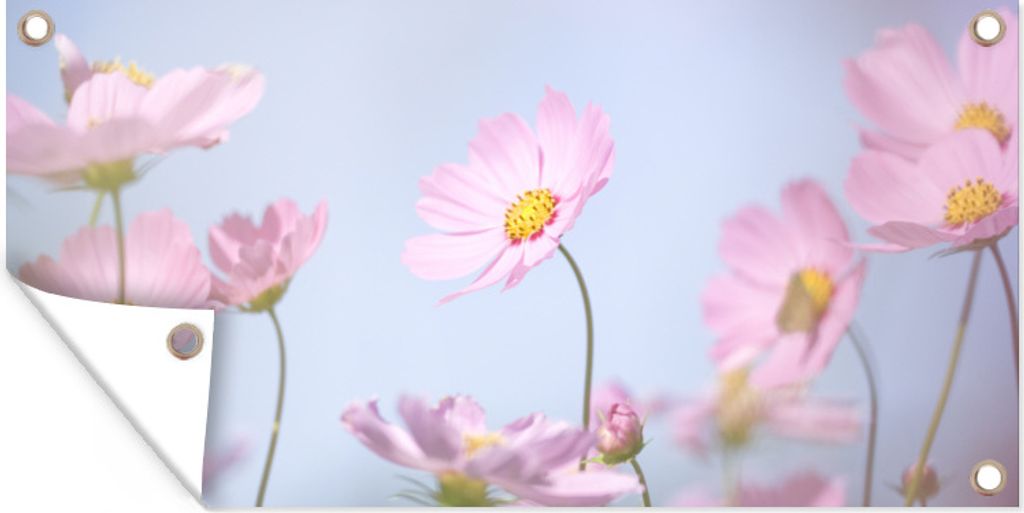 MuchoWow 60x30 cm Outdoor-Poster Gartendeko Sichtschutz Garten Poster für den Garten Blumen - Rosa - Draußen - Natur