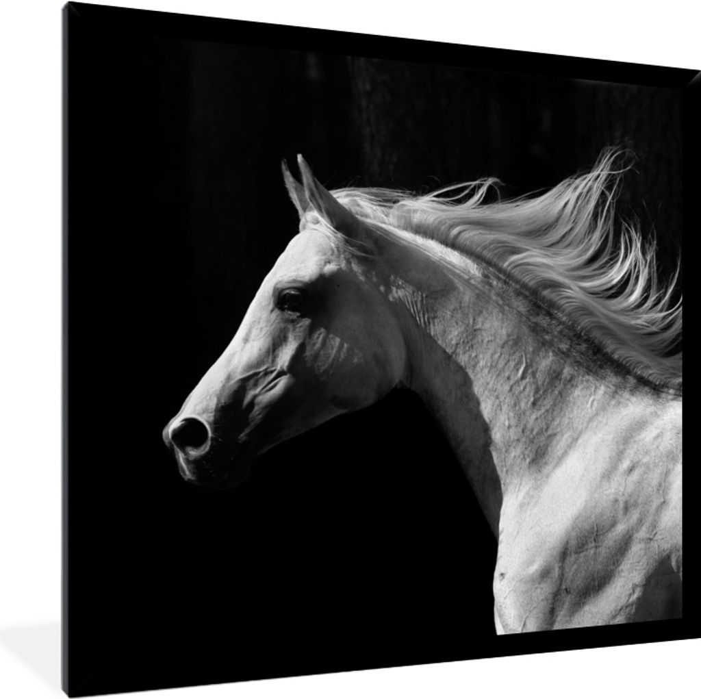 MuchoWow MuchoWow Gerahmtes Poster Pferd - Weiß - Schwarz 40x40 cm - Poster mit zchwarzem Bilderrahmen - Mit Rahmen - Wanddekoration Schlafzimmer