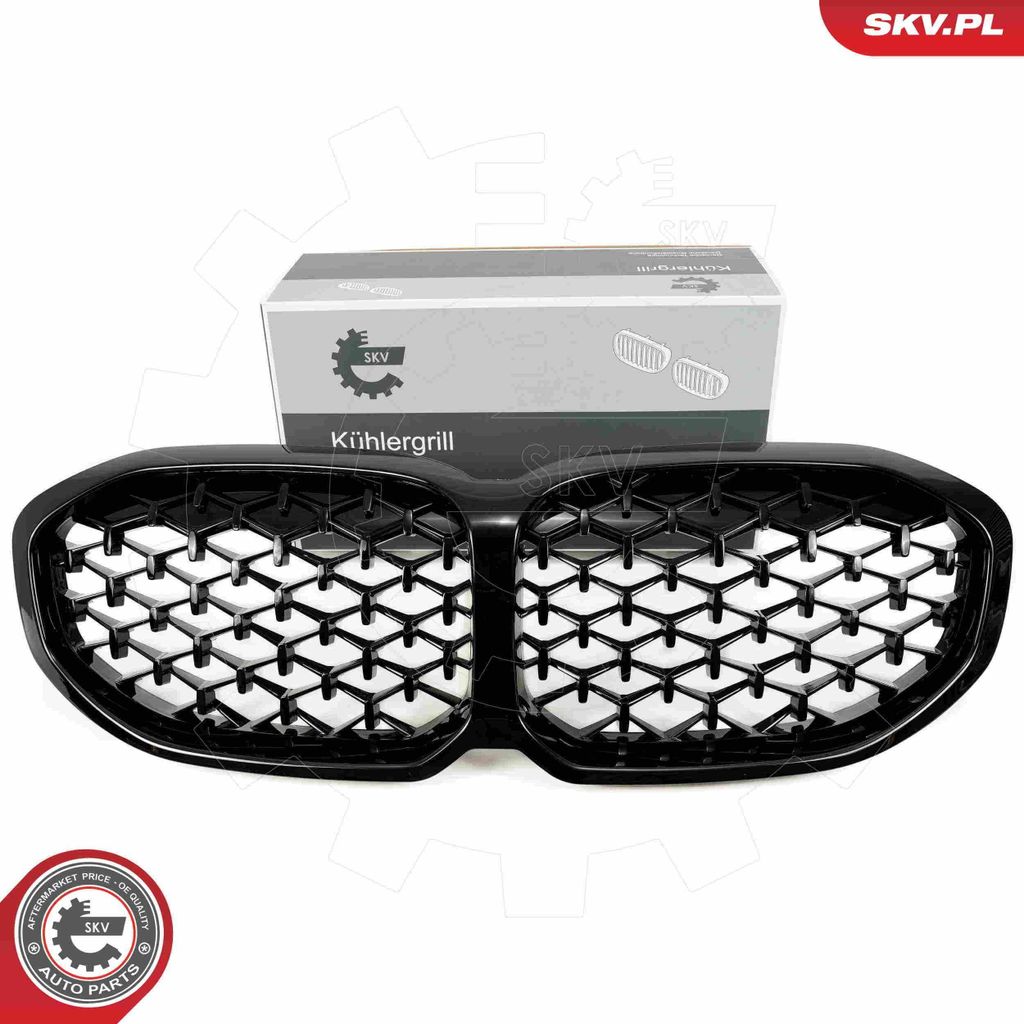 ESEN SKV 66SKV027 Kühlergrill Frontgrill für BMW 1 Schrägheck (F40) Mitte Glänzend Schwarz
