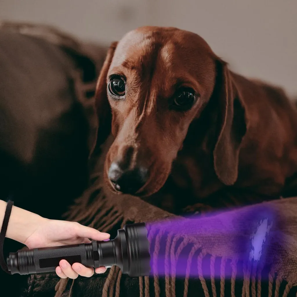 Torcia Duale LED UV 395nm 75 Lumen - Kit Emergenza e Trekking Compatto - 5