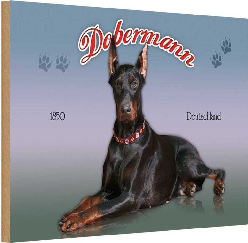 vianmo Holzschild 20x30 cm Hund Dobermann 1850 Deutschland Tier Haustier
