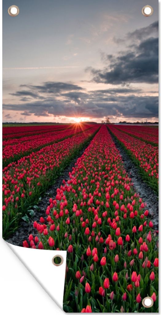 MuchoWow 30x60 cm Outdoor-Poster Gartendeko Sichtschutz Garten Poster für den Garten Ein rotes Tulpenfeld im Nordosten der Niederlande
