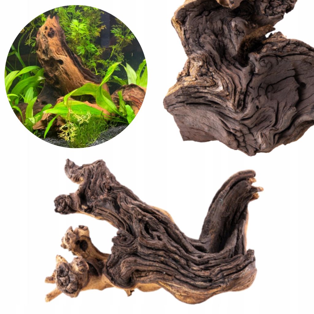 Aquarium Wurzel Mopani hart schwer, natürliches Deko-Wurzelholz für Süßwasser-Aquarien, 20 cm, dunkle Brauntöne, sinkend